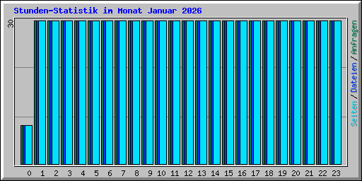 Stunden-Statistik im Monat Januar 2026